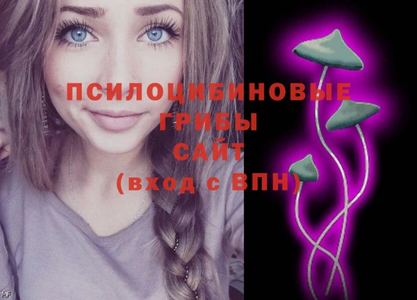мяу мяу мука Абаза
