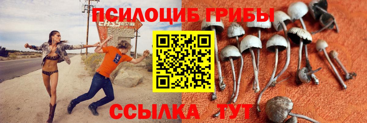 Галлюциногенные грибы ЛСД Каменск-Шахтинский